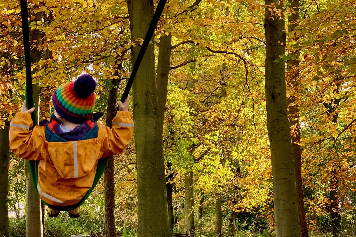 A child on a swing among autumn trees