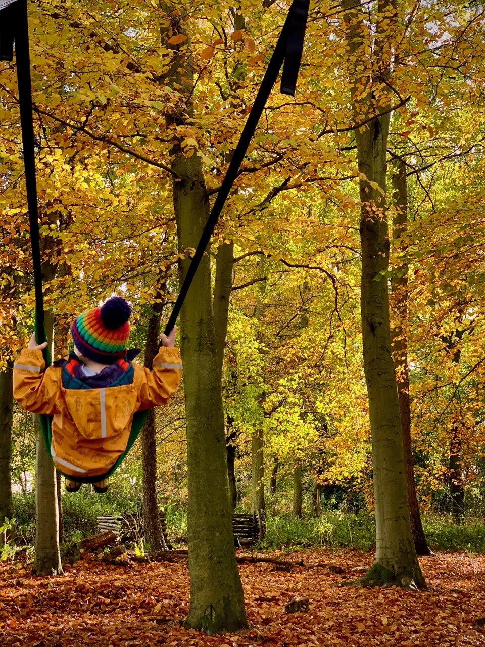A child on a swing in autumn woodland