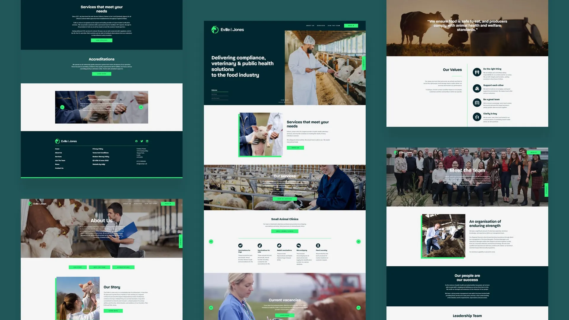 Pages from the Eville & Jones website