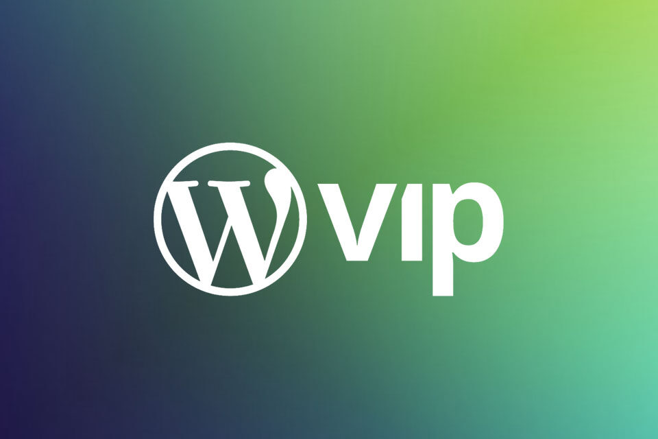 We Audit WordPress or WooCommerce Enterprise websites, why?