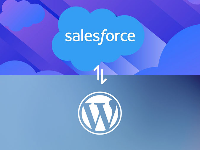 WordPress  Salesforce Integration Agency