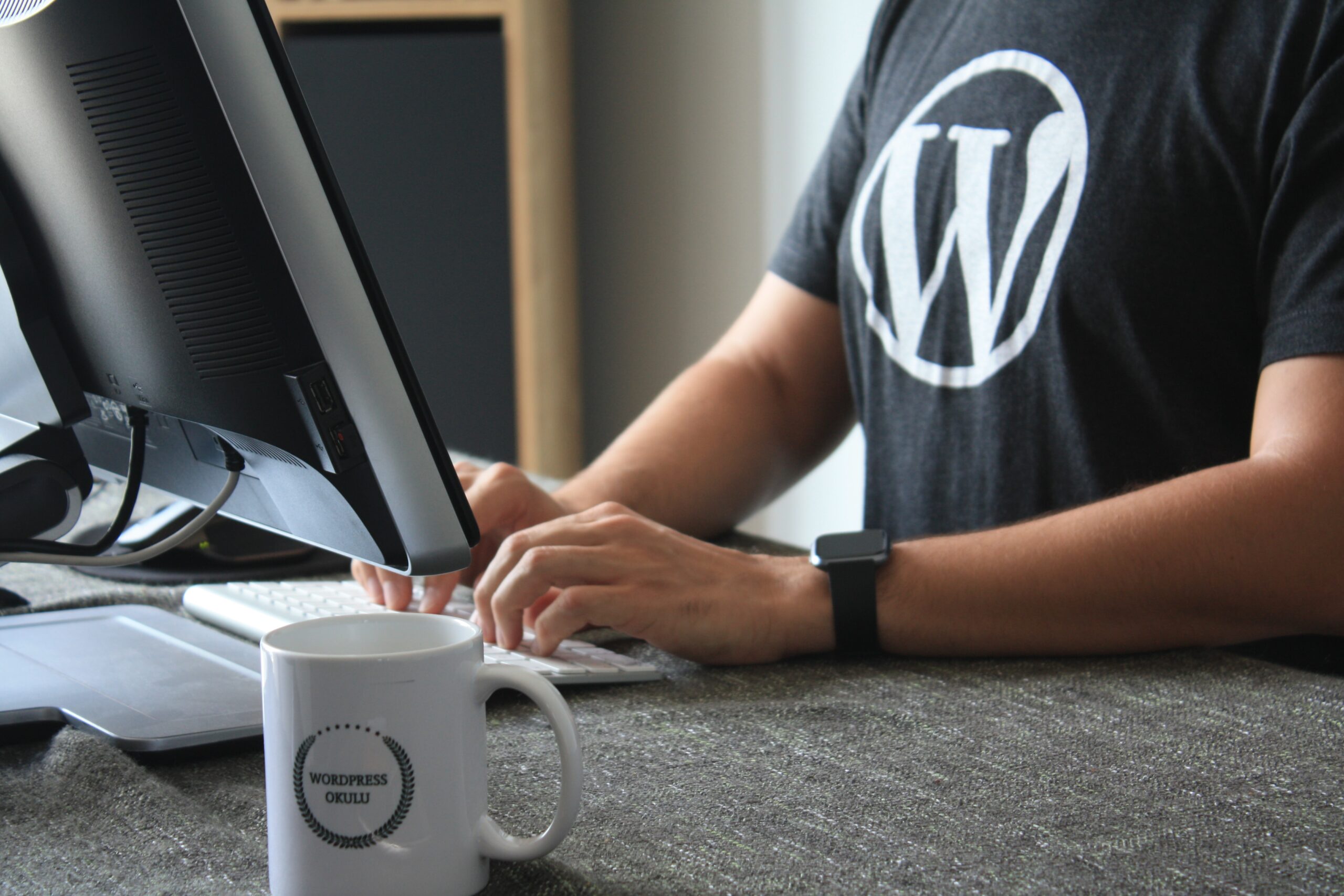Why have a WordPress Audit done by a specialist WordPress agency?