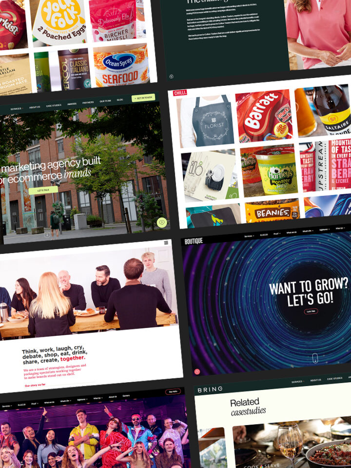 Why We Are the Agency’s Choice for WordPress Website Design & Build