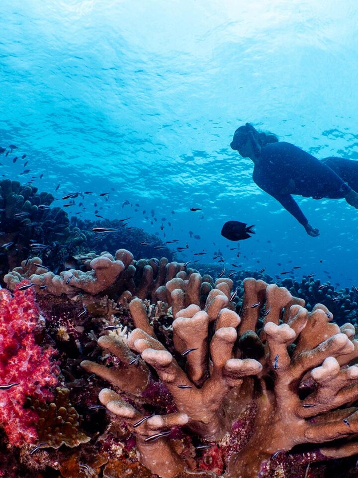 From Yorkshire to the Coral Triangle: How We Built the New Digital Experience for Bunaken Oasis Resort & Spa